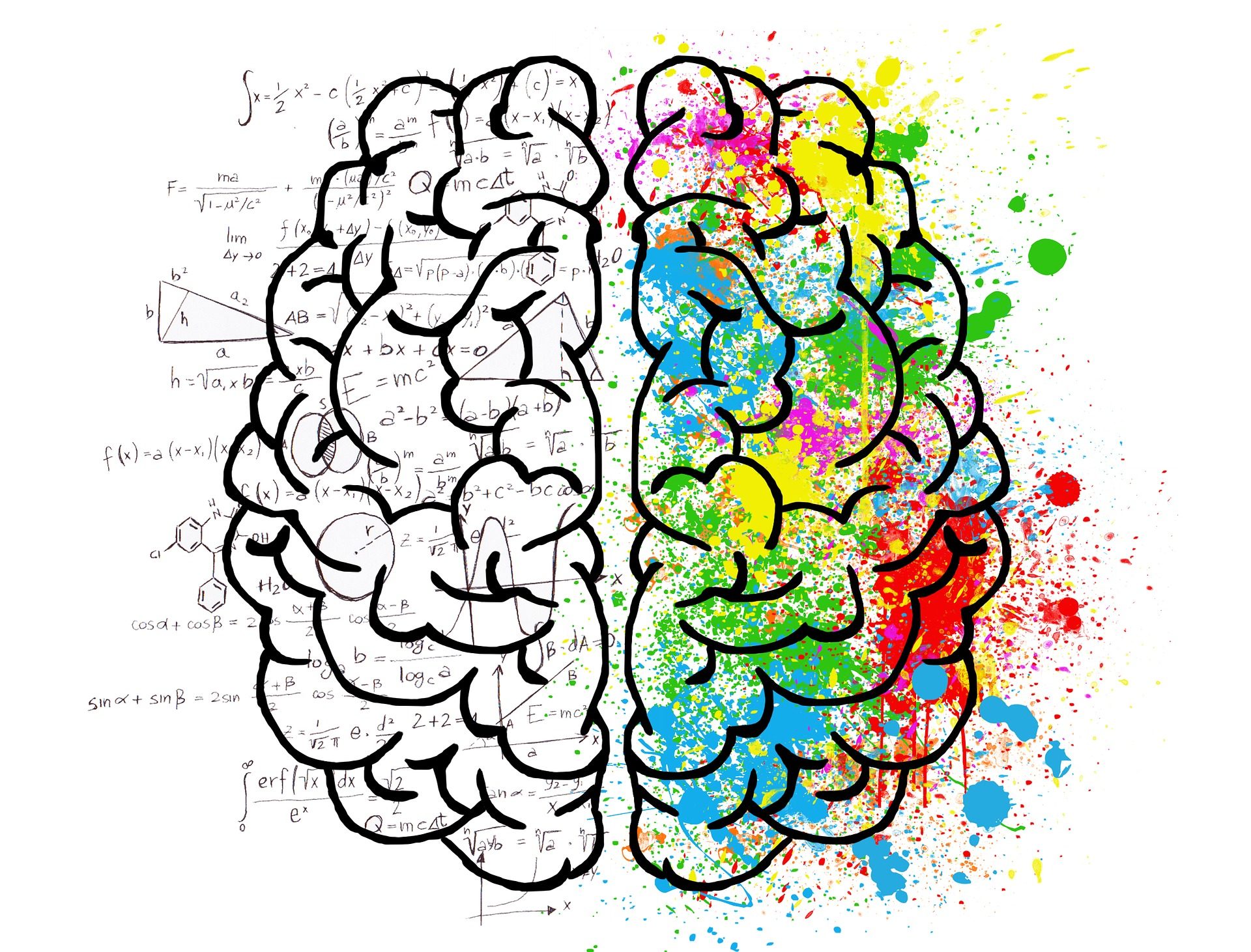 cropped-brain-2062057_1920.jpg
